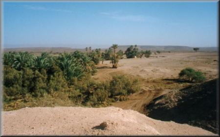 ddaw tourite